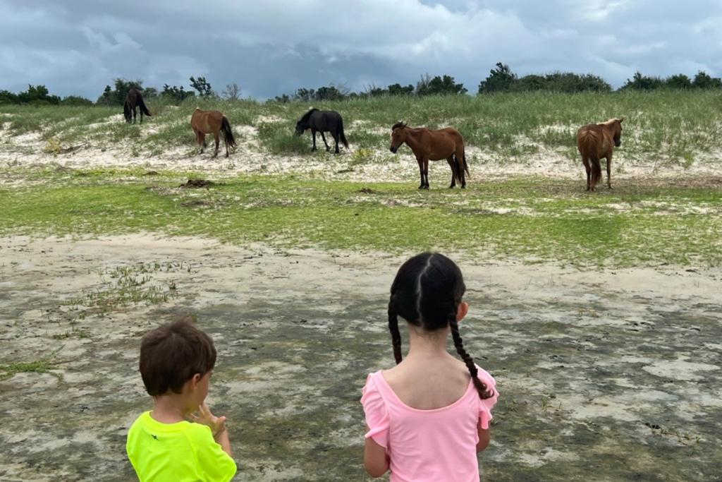 Lilly and Levi watching the wild horses on the Crystal Coast of NC