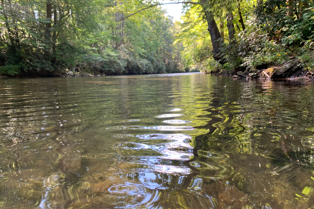 Things To Do In The NC Mountains - Davidson River