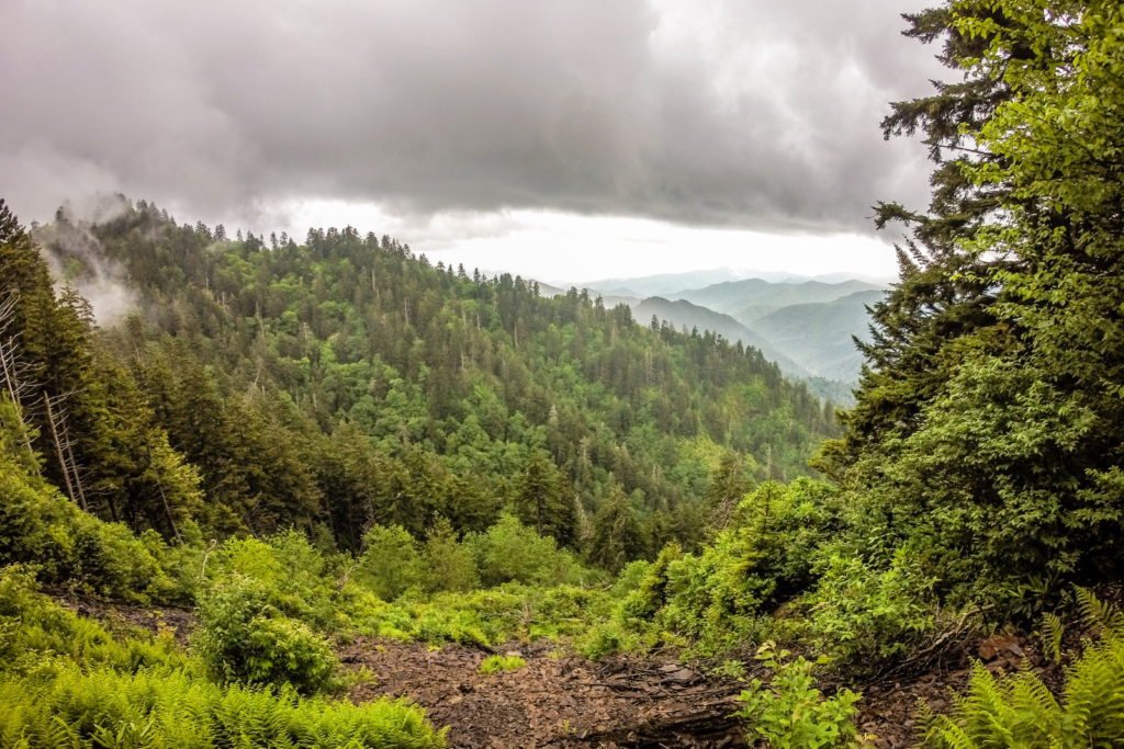 Best things to do in the North Carolina Mountains - Appalachian Trail in the Smoky Mountains, NC