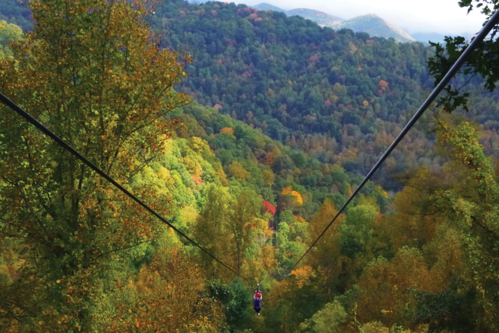 Ziplining Through Navitat Canopy Adventures