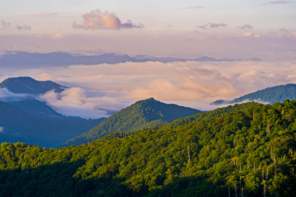 great smoky mountains national park, nc (1)