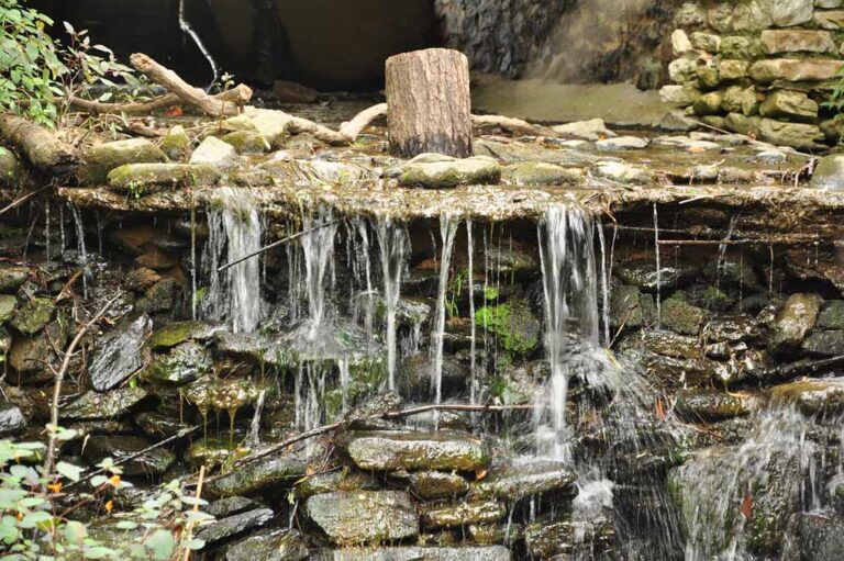 Glen Burney Trail