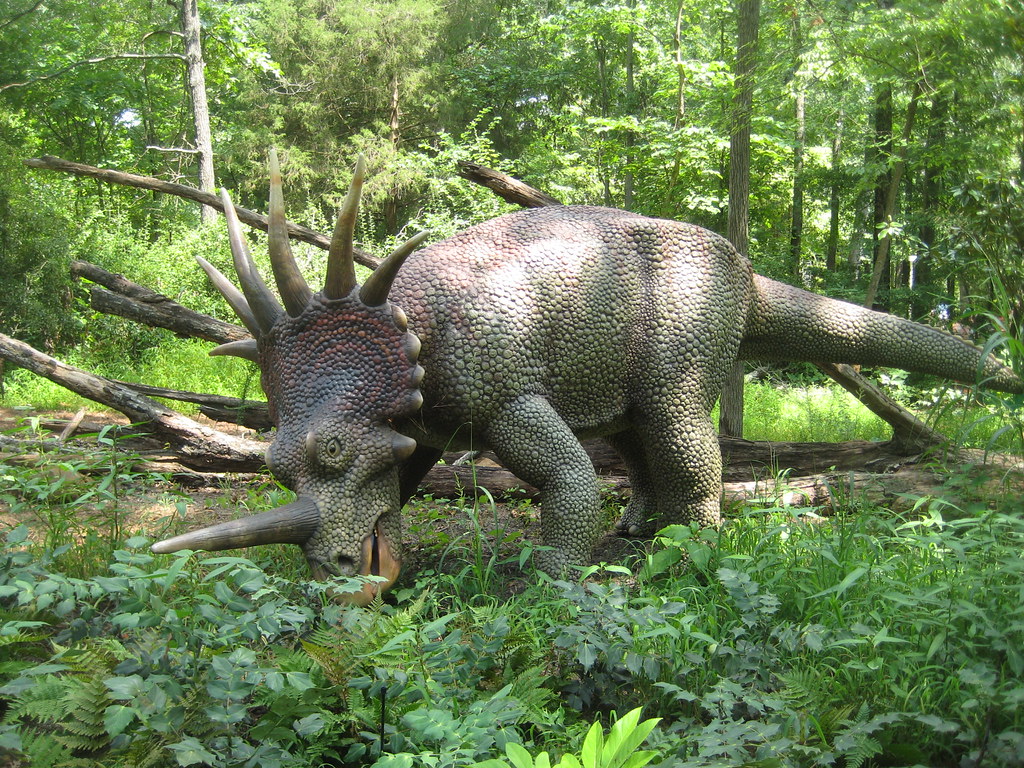 Best Things To Do In The Raleigh-Durham-Triangle Area - Durham Museum of Life and Science (Styracosaurus)