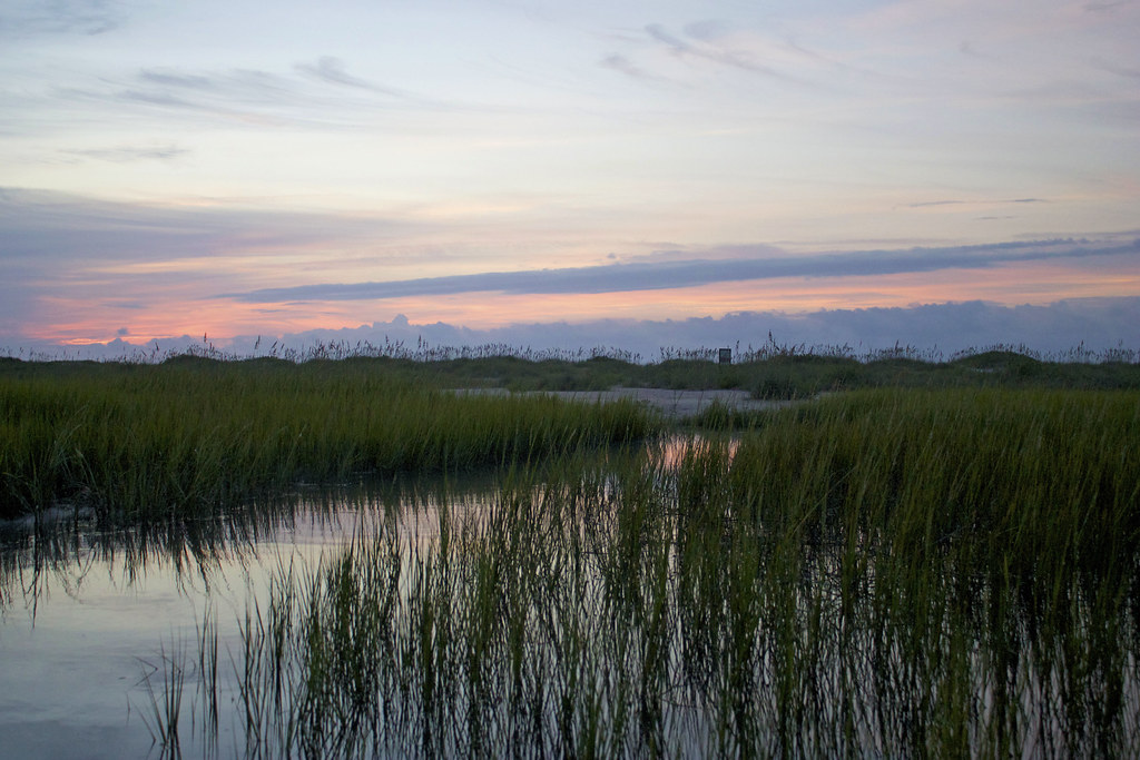 Masonboro Island Reserve NC Coastal Reserve