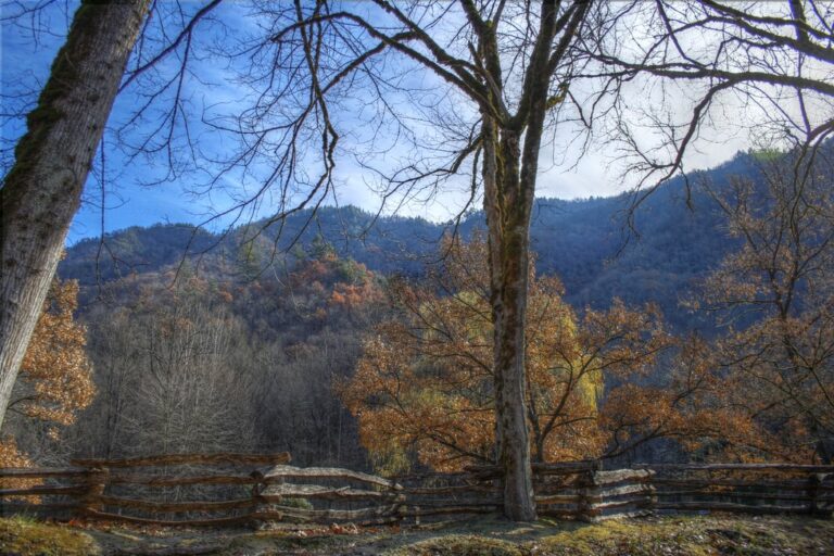 Nantahala National Forest