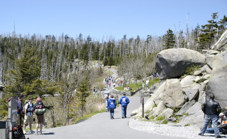 Hiking Trail up Clingman's Dome