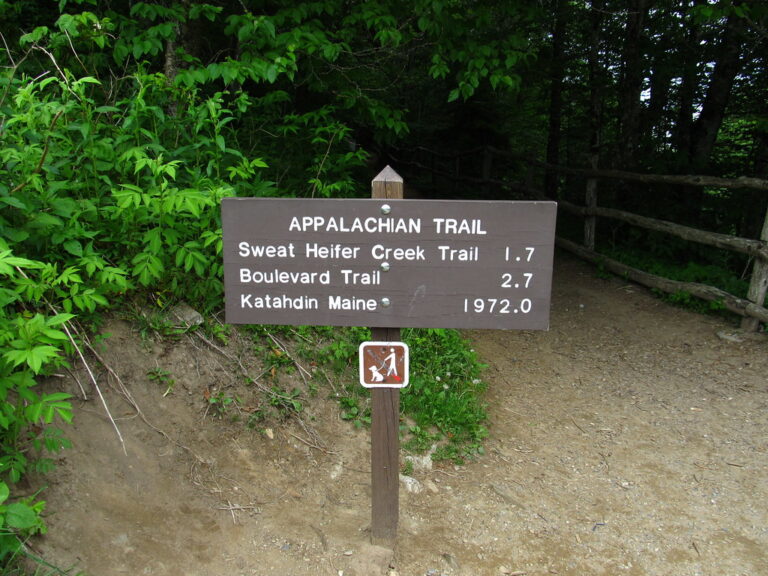 Appalachian Trail, TN and NC Border