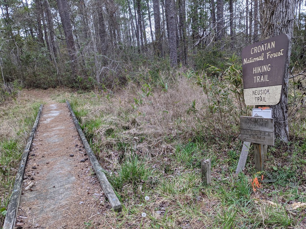 Croatan National Forest -New Bern, NC