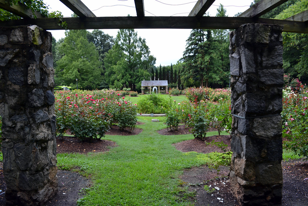 Raleigh Little Theatre Rose Garden