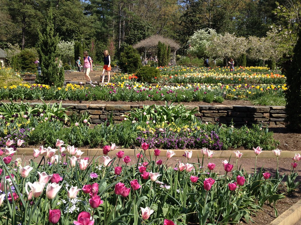 Best Things To Do In The Raleigh-Durham-Triangle Area - Sarah P. Duke Gardens