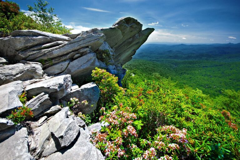 Best Hiking In The High Country - Tanawha/Rough Ridge Trail