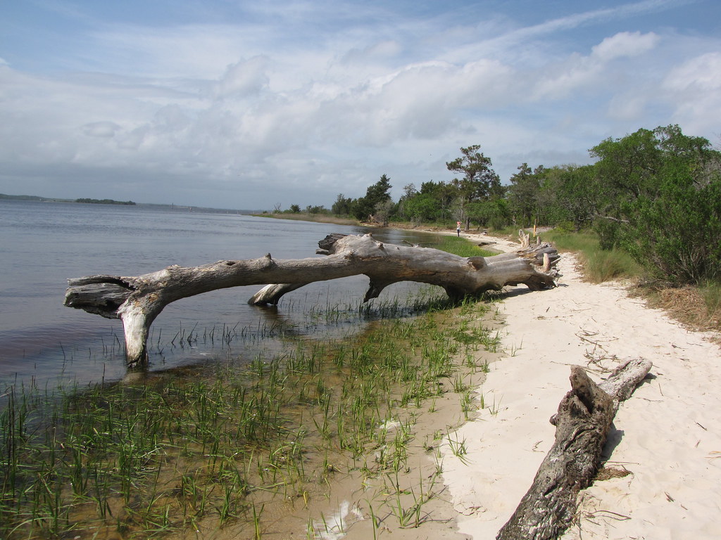 Carolina Beach State Park