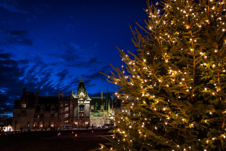 Best things to do in the Asheville area - The Biltmore House (Asheville, North Carolina)