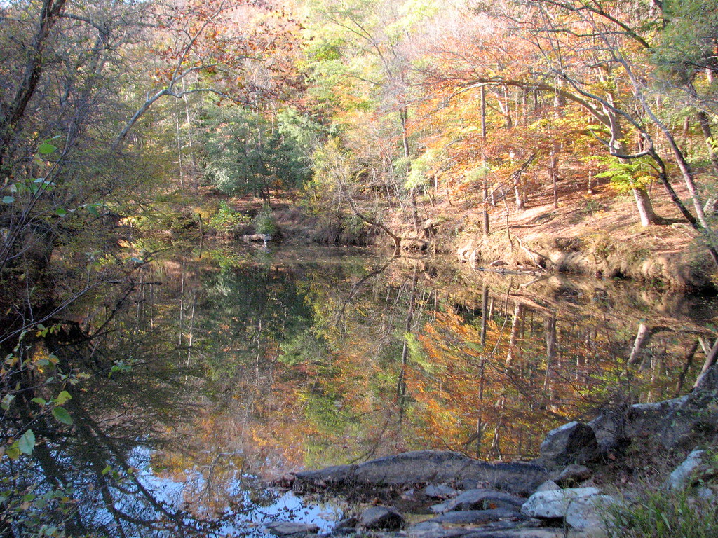 Best Hiking In The Raleigh-Durham Triangle Area - Reflection Cole Mill Access Eno River