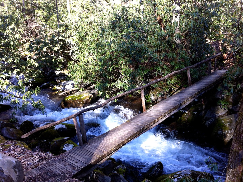 Best hiking in the Great Smoky Mountains - Kephart Prong