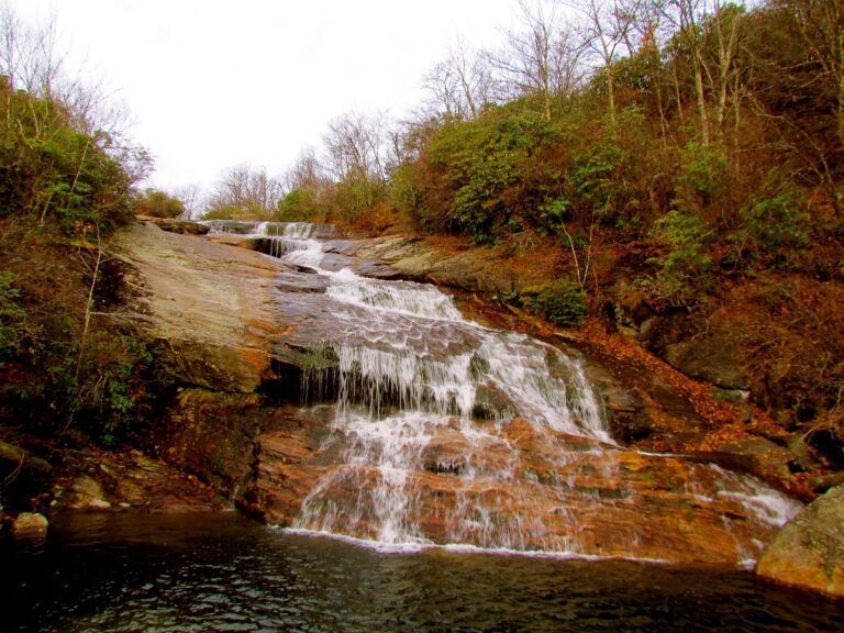 Pisgah National Forest