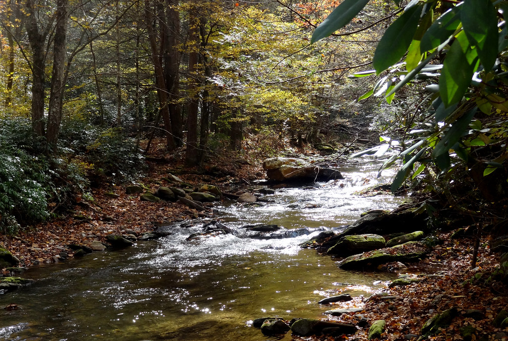 Buck Creek, Catawba Falls Trail