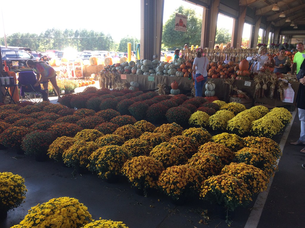 NC Farmer's Market, October