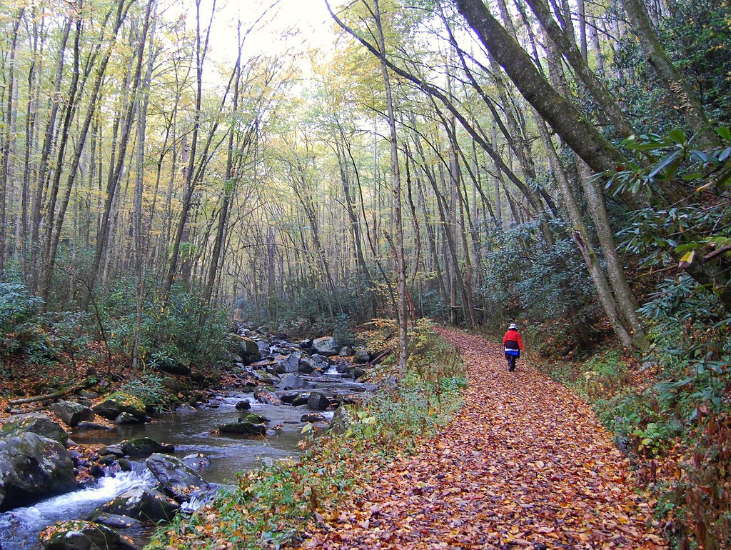 Hiking the Smokemont - Bradley Forks Trail in the Great Smoky Mountains National Park