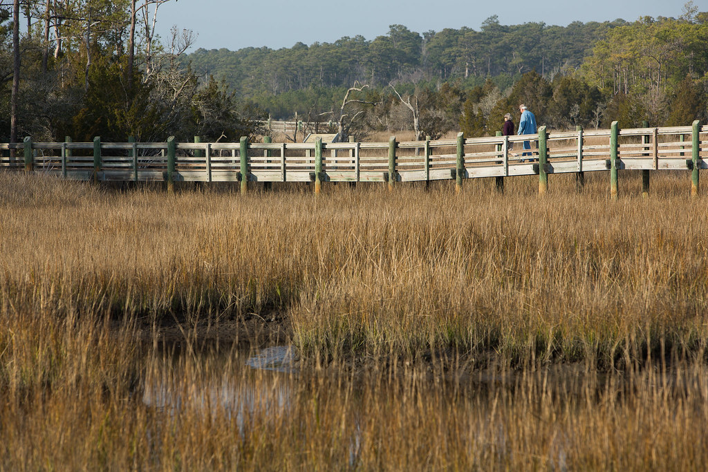 Best Hiking On The North Carolina Coast - Croatan National Forest Trails