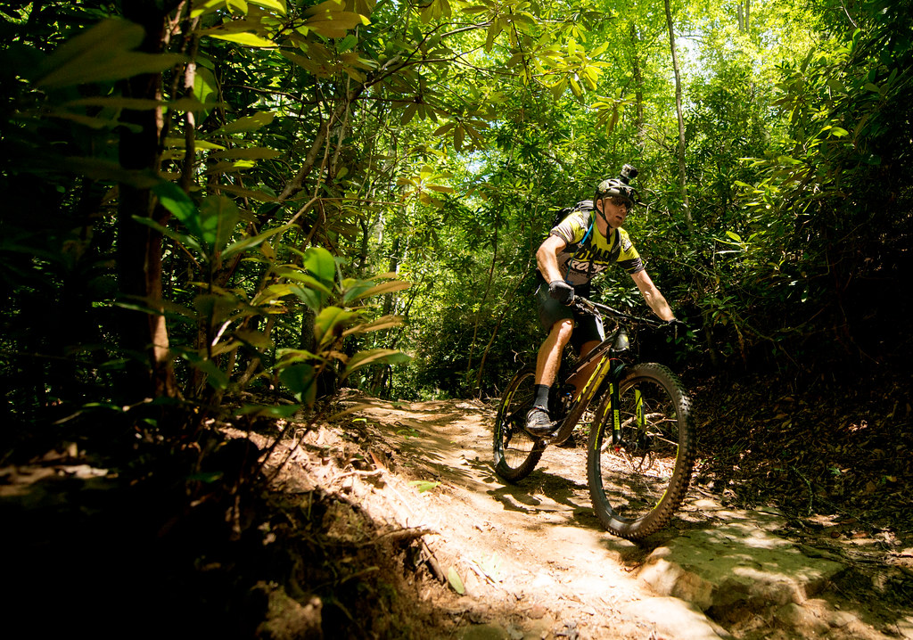 Best Adrenaline Activities in Black Mountain NC - Mountain Biking in Pisgah National Forest