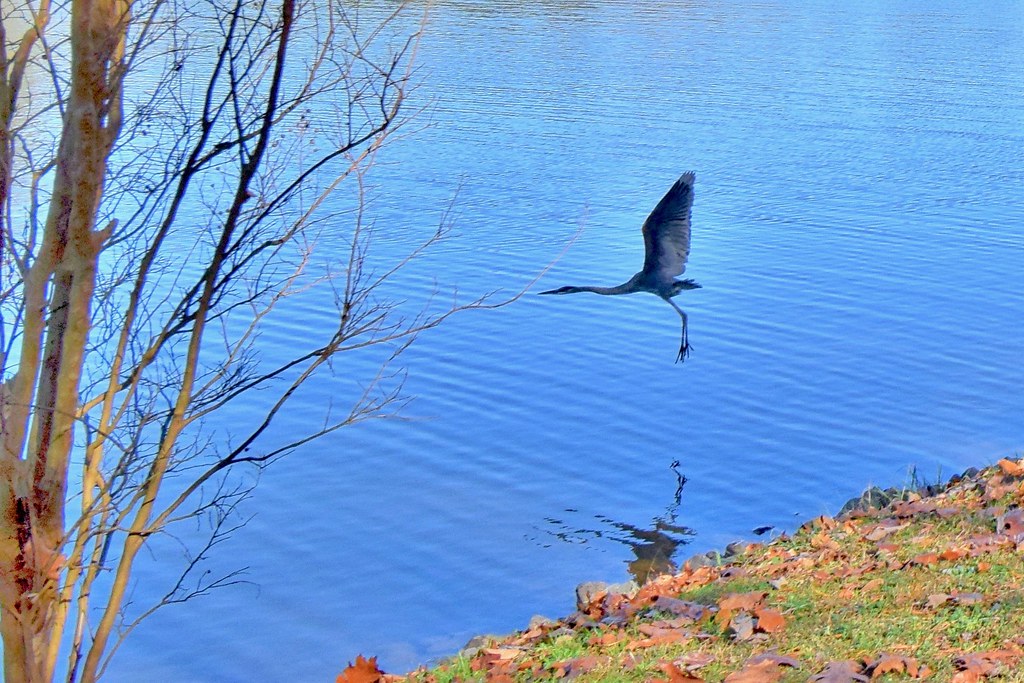 Best Hiking In The Charlotte Area - McDowell Nature Preserve