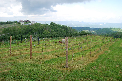 Banner Elk Winery