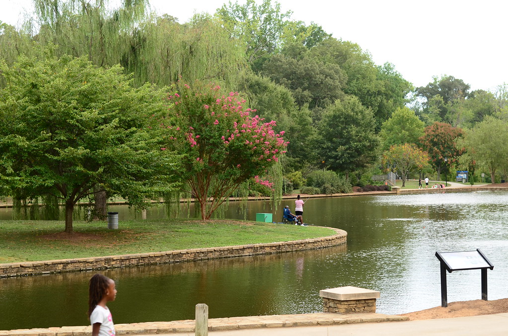 Lake shot at Freedom Park in Charlotte, NC