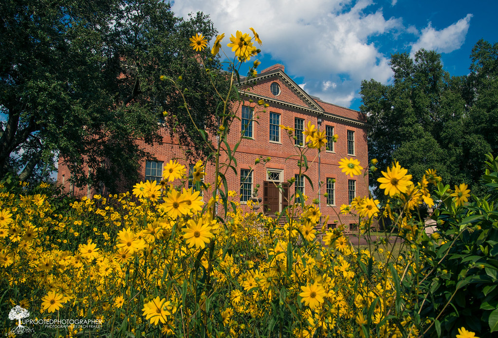 Fall Color at Tryon Palace | New Bern, NC