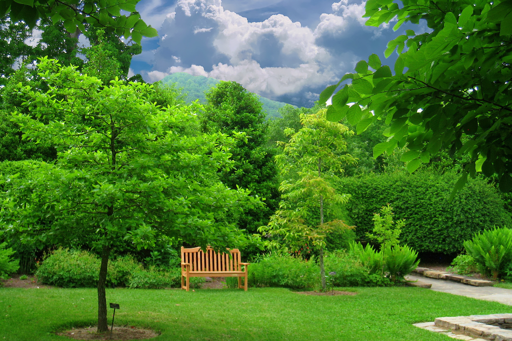 Beautiful view in Asheville's Botanical Garden