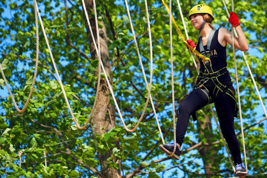 Best Adrenaline Activities In The North Carolina Piedmont - Skywild at Greensboro Science Center