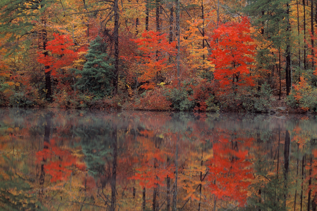 Best Hiking In The North Carolina Piedmont - Hanging Rock State Park