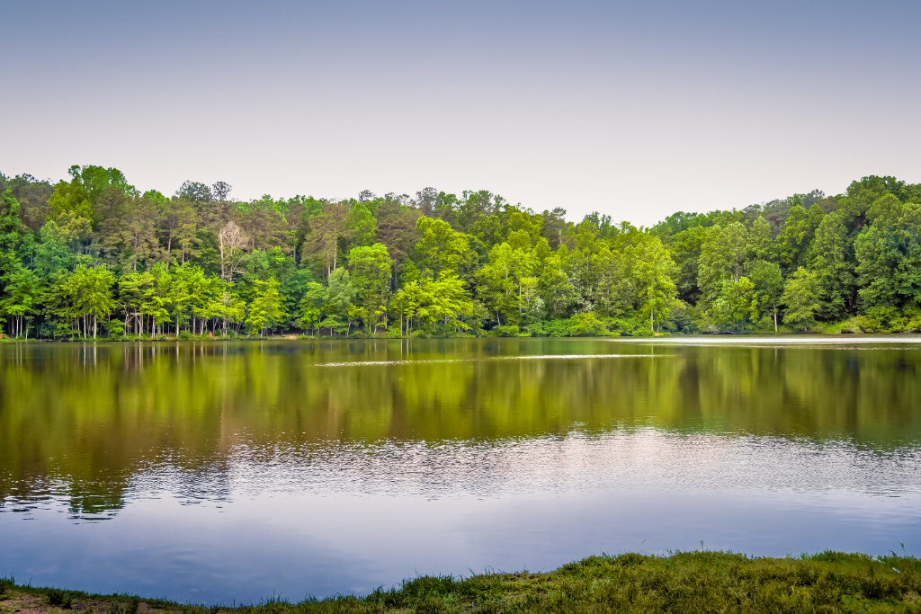 Best Hiking In The North Carolina Piedmont - Umstead State Park