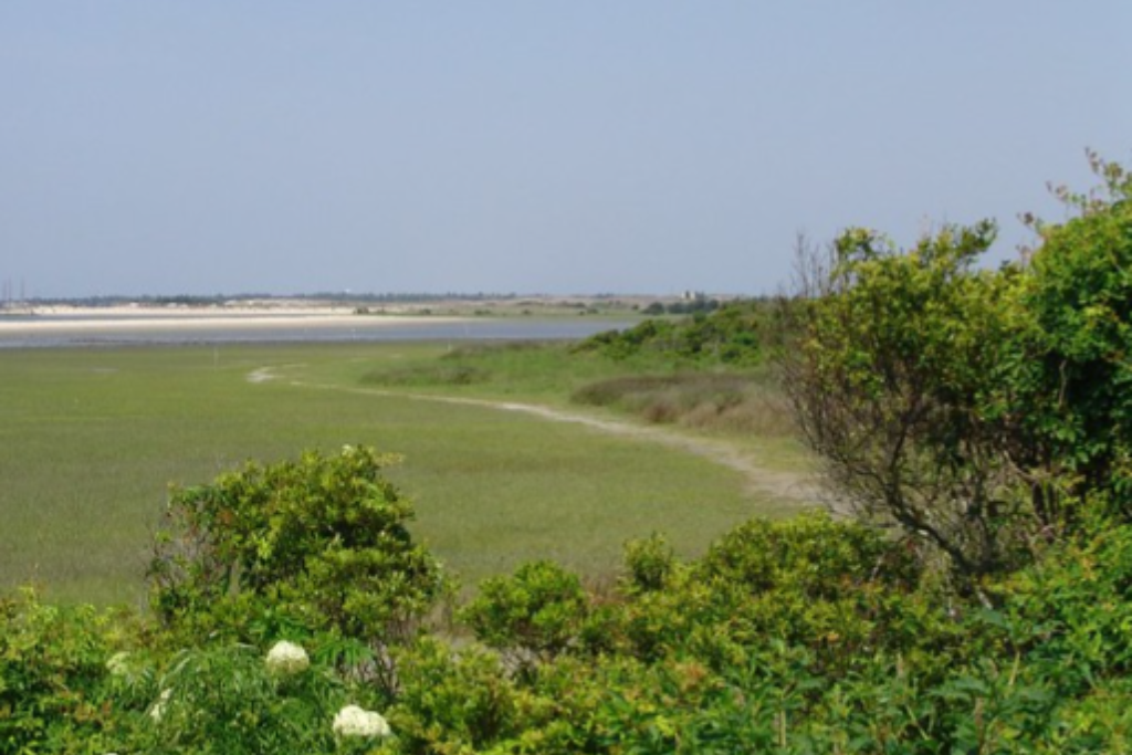 Best Hiking On The North Carolina Coast - Rachel Carson Reserve