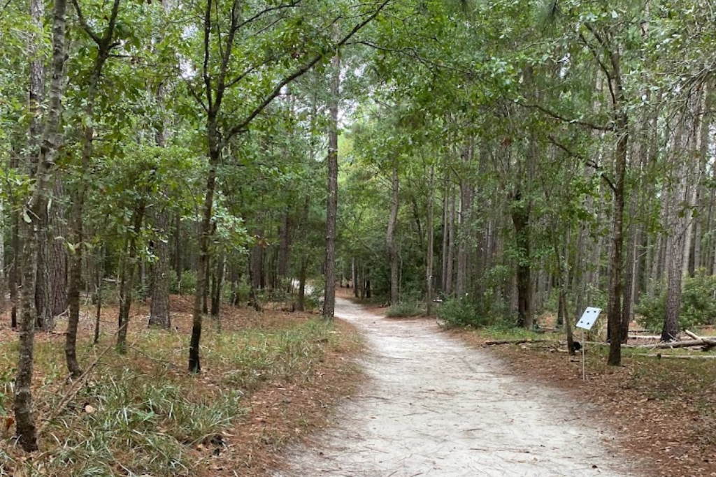 Best Hiking On The North Carolina Coast - Trail at Hammocks Beach State Park