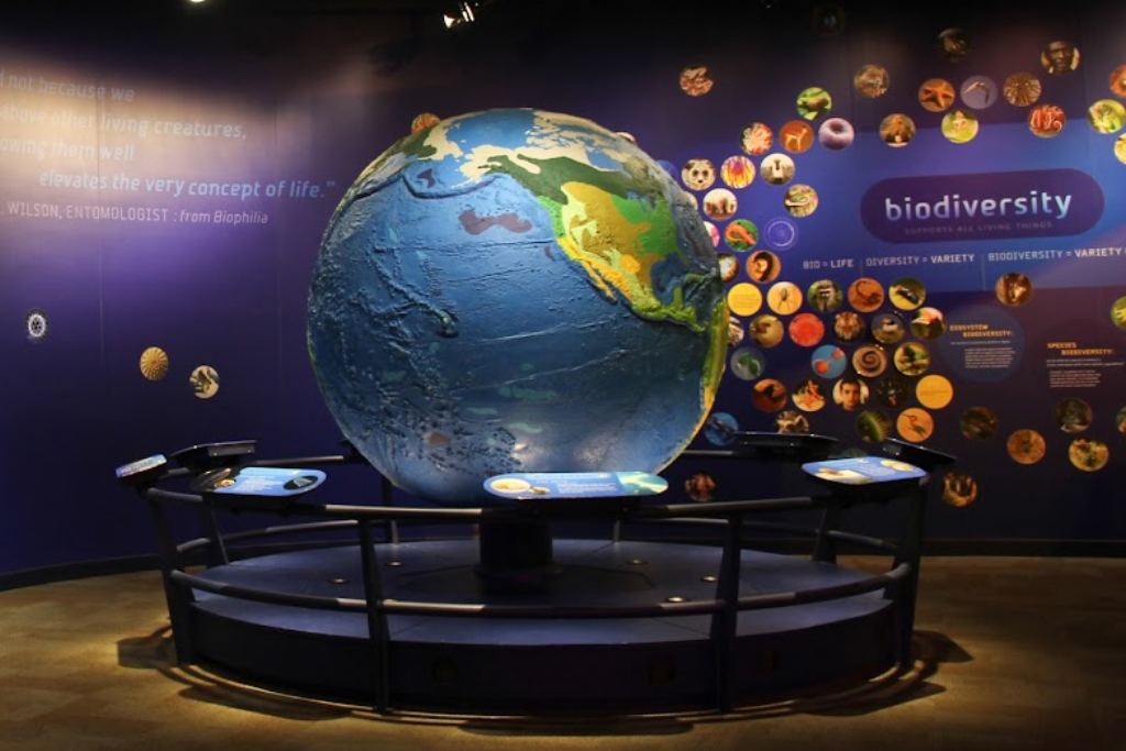 Best Museums and Galleries In The Charlotte Area - Discovery Place Science - Globe