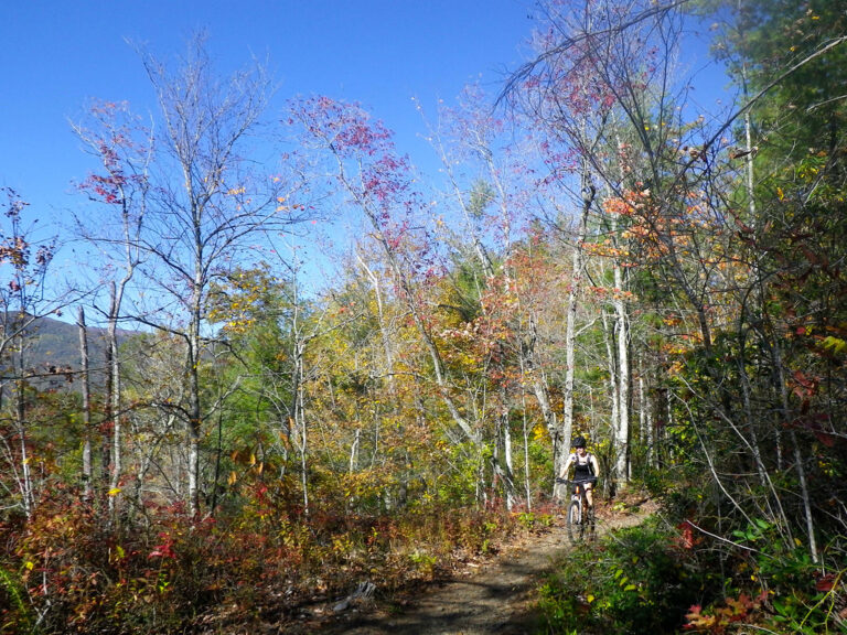 Mountain Biking at Tsali Recreation Area