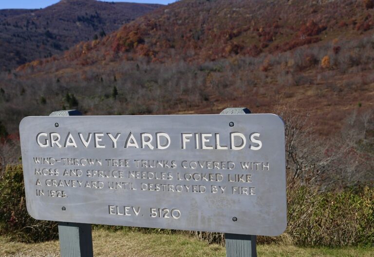 The Graveyard Fields