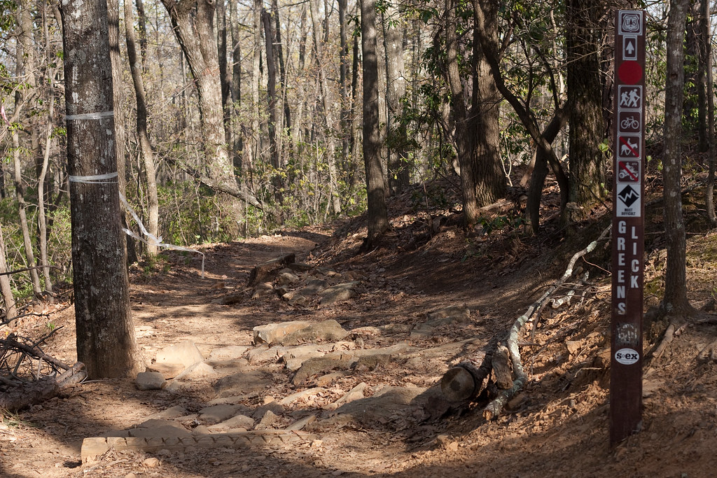 Best Adrenaline Activities in Asheville NC - Mountain Biking Trail at Bent Creek