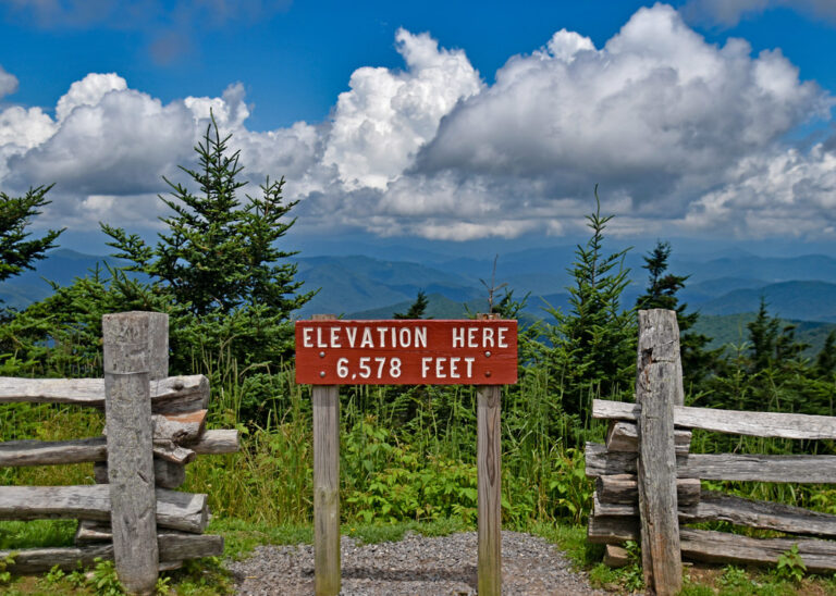 Best Place To Hike in the Asheville Area - Mount Mitchell