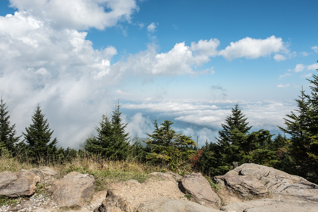 At the Top of Mount Mitchell