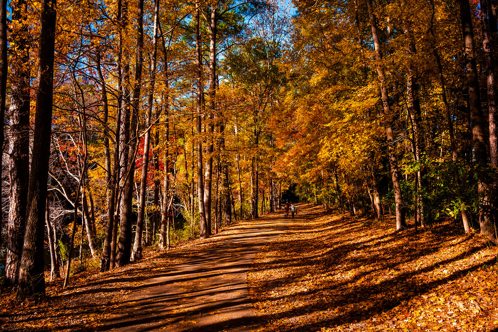 Best Hiking In The Raleigh-Durham Triangle Area - Lake Johnson, North Carolina