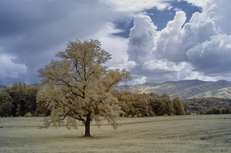 Infrared, Cades Cove, Great Smoky Mountains National Park - Best things to do in the Great Smoky Mountains