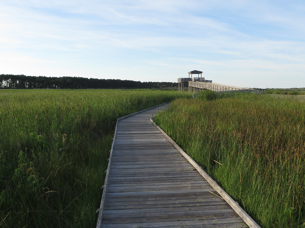 Best Hiking In The Outer Banks Area - Cape Hatteras National Seashore, Outer Banks, North Carolina