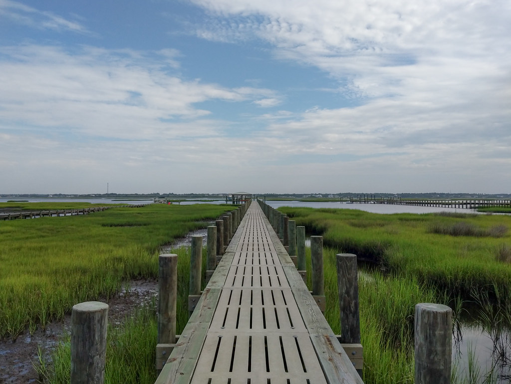 Best Hiking In The Crystal Coast Area - Emerald Isle Woods Park