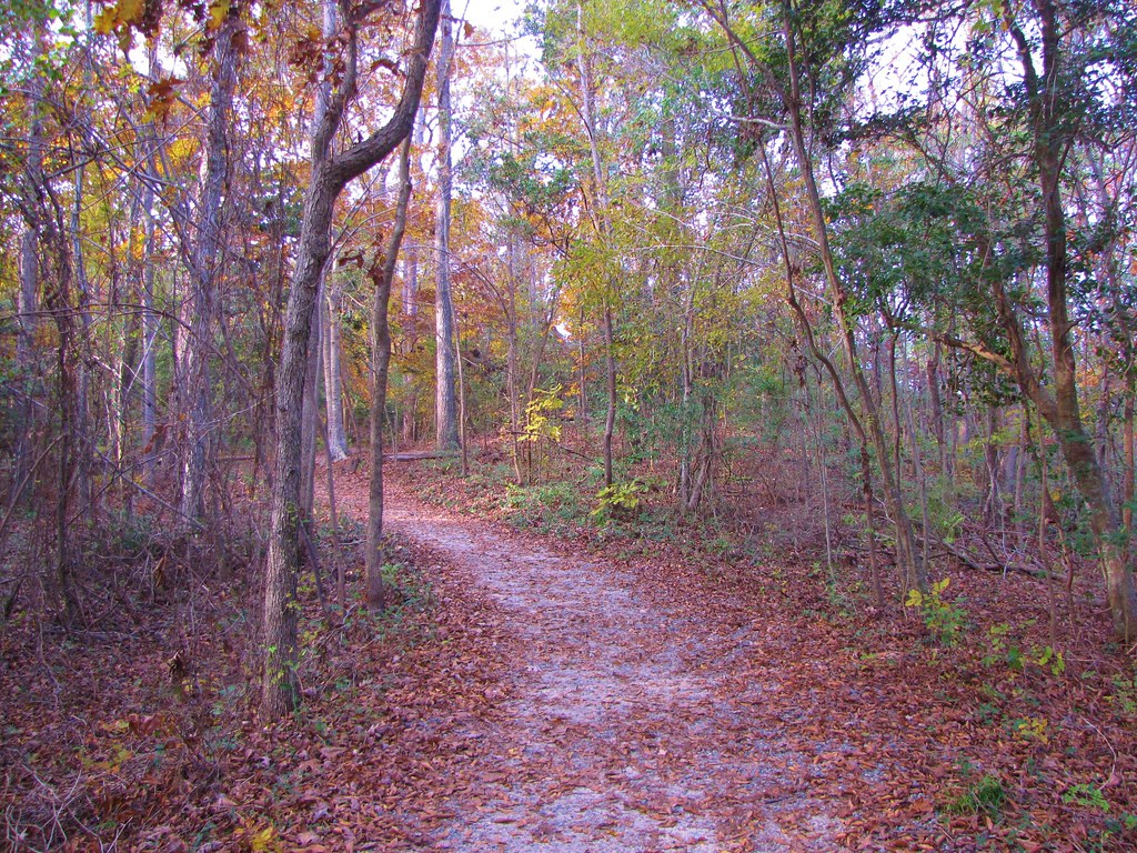 Best Hiking In The Inner Coastal Plains Area - Cliffs of the Neuse State Park