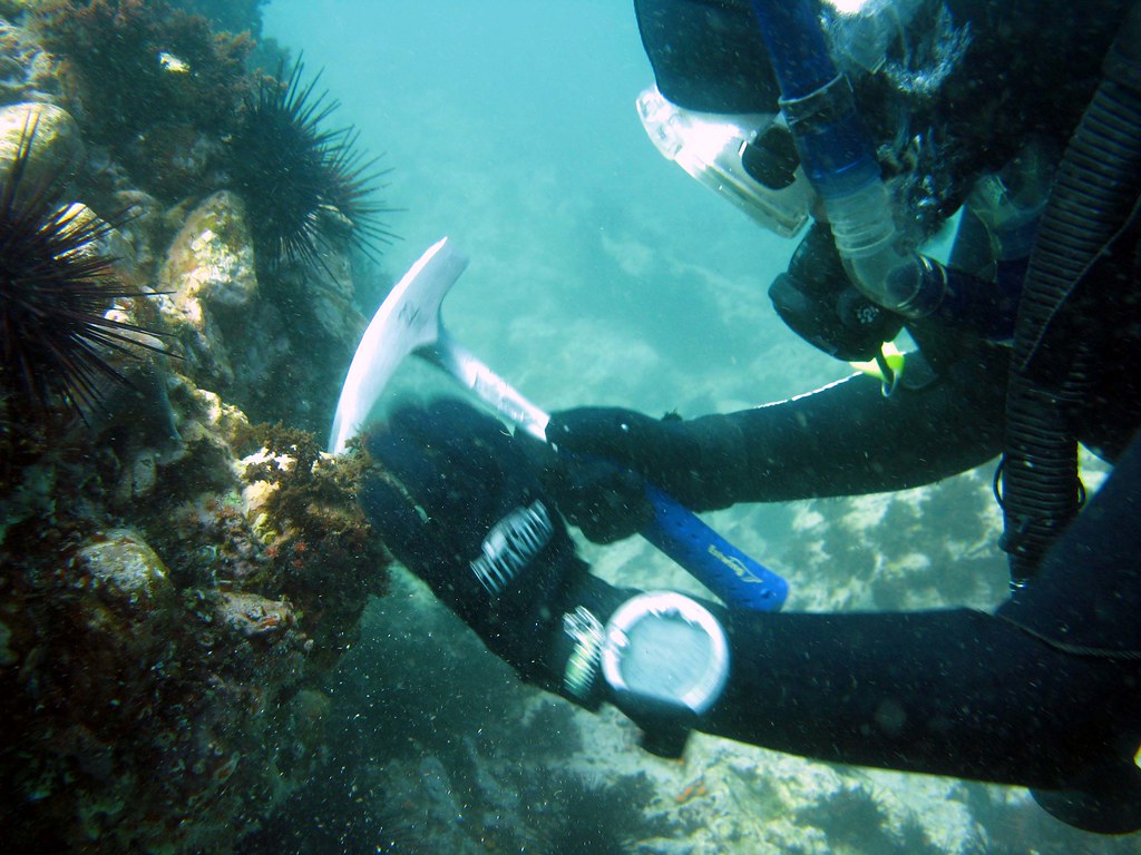 Best Water Activities In The Crystal Coast Area - Scuba Diving