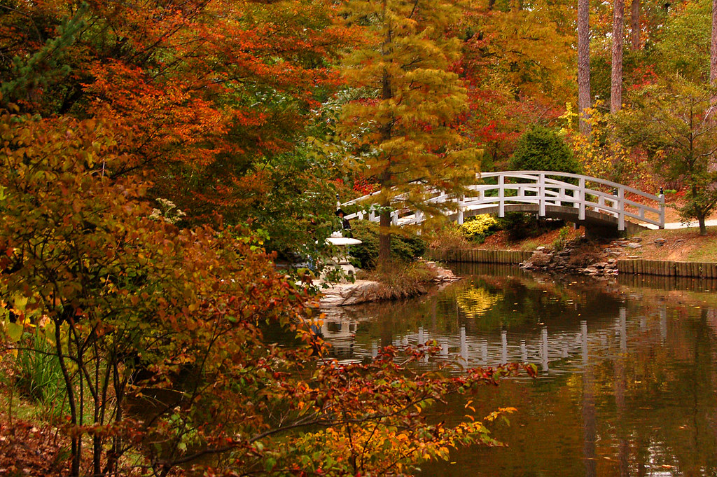 Fall Colors in Duke Gardens