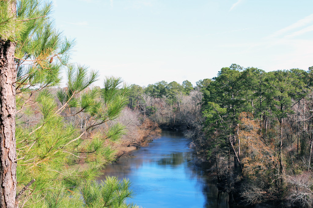 View of the Neuse River from the overlook above the cliffs