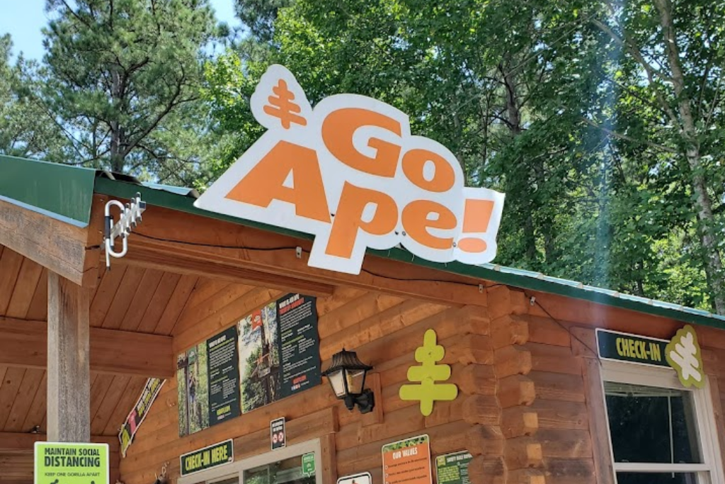 Best Adrenaline Activities In Raleigh, NC - Go Ape Zipline and Adventure Park (1)